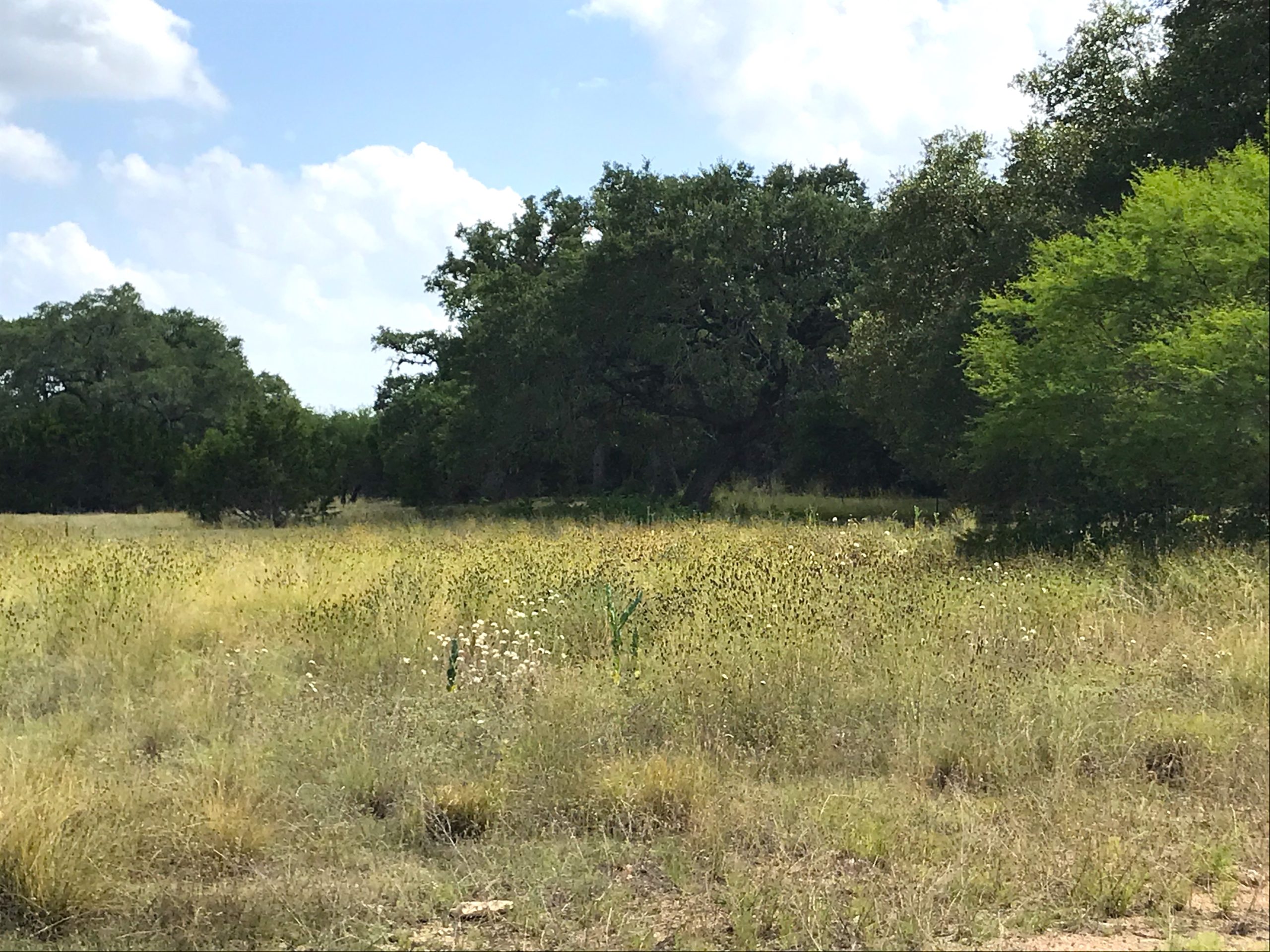 Lot 4 in the Springs of Cordillera Ranch